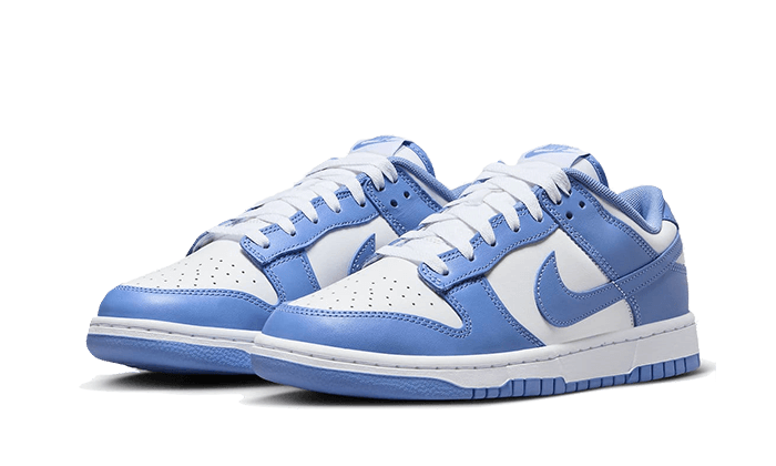 Nike Dunk Low Polar Blue - NOISEPLUG