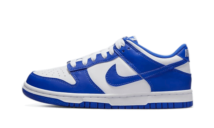 Nike Dunk Low Racer Blue (GS) - NOISE PLUG