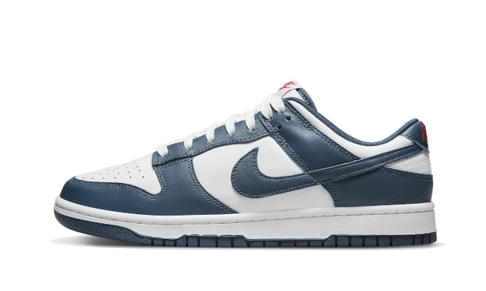 Nike Dunk Low Valerian Blue - NOISE PLUG